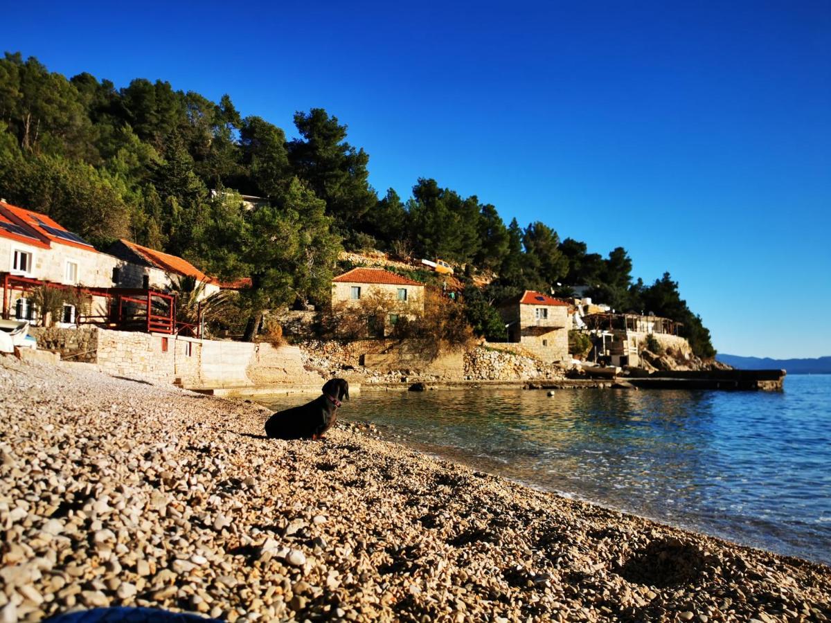 Holiday home Kamena Kucica *